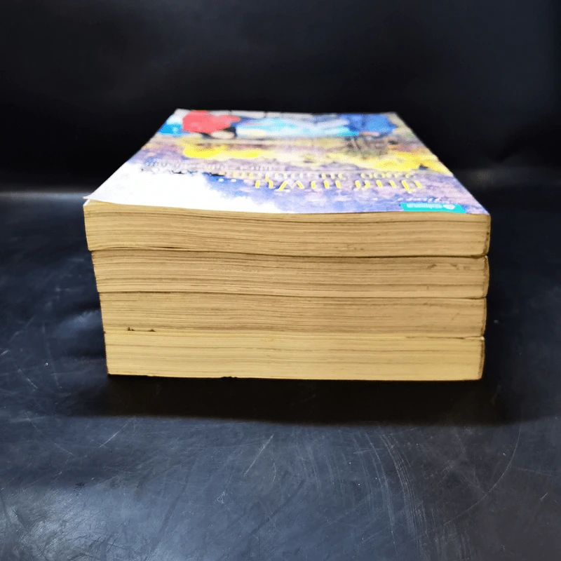 ปั่นข้ามฝัน 2,000 วันรอบโลก เล่ม 1-4 รูปที่ 5