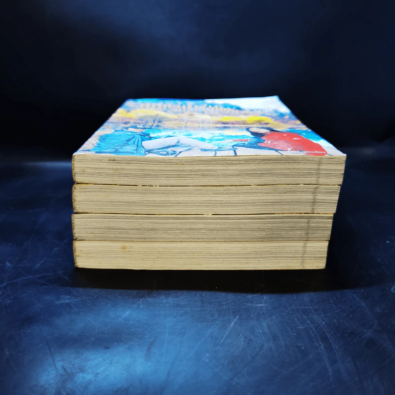 ปั่นข้ามฝัน 2,000 วันรอบโลก เล่ม 1-4 รูปที่ 3