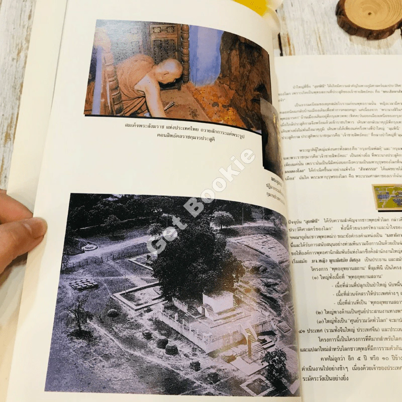 สมุดภาพแดนพุทธภูมิ รูปที่ 15