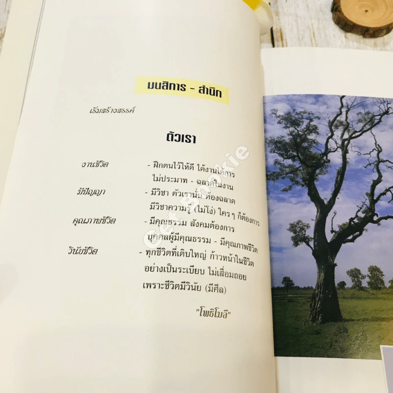 สมุดภาพแดนพุทธภูมิ รูปที่ 21