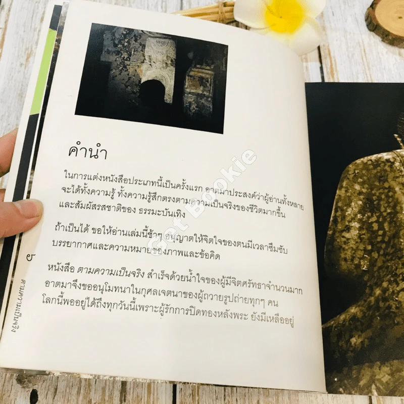 ตามความเป็นจริง รูปที่ 8