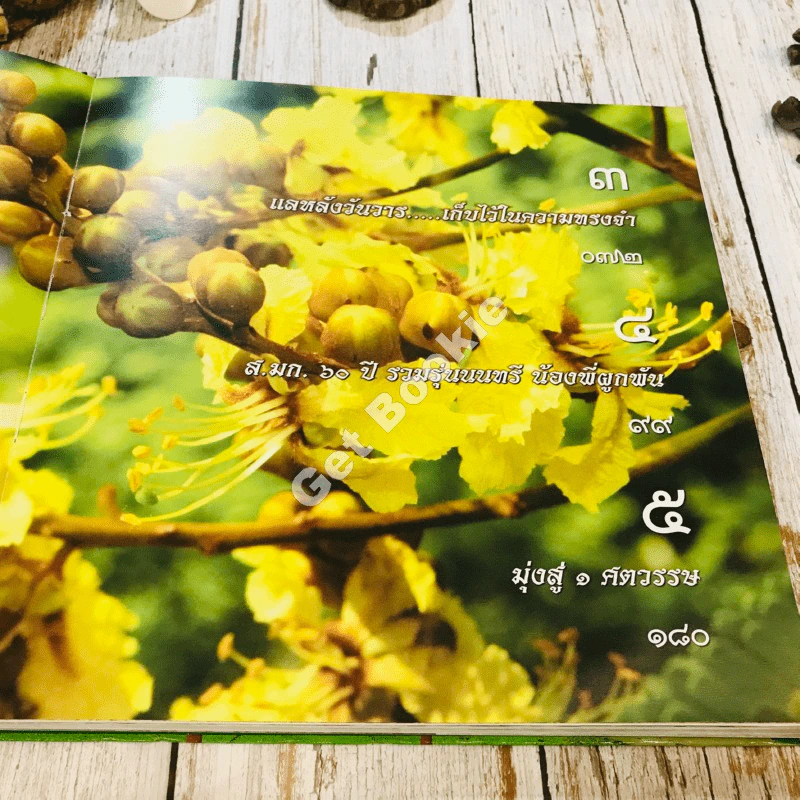 สมาคมนิสิตเก่ามหาวิทยาลัยเกษตรศาสตร์ในพระบรมราชูปถัมภ์ 60 ปี พ.ศ.2496-2556 รูปที่ 20