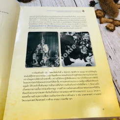 รายงานการติดตามและประเมินผลการจัดงานเฉลิมพระเกียรติ พระบาทสมเด็จพระปรมินทรมหาภูมิพลอดุลยเดช รูปที่ 22