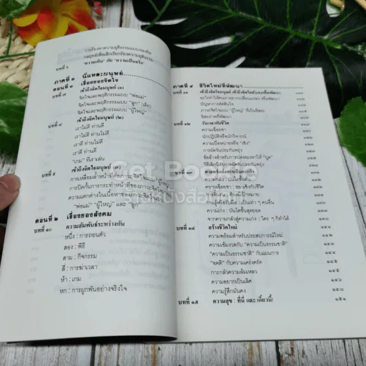 เหมือนๆจะแพ้แต่ไม่แพ้ รูปที่ 6