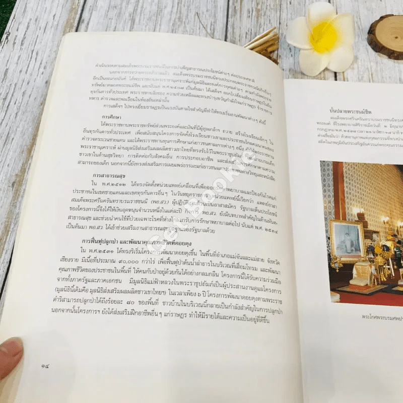 เครื่องประกอบพระราชอิสริยยศ ราชยาน ราชรถ และพระเมรุมาศ รูปที่ 16