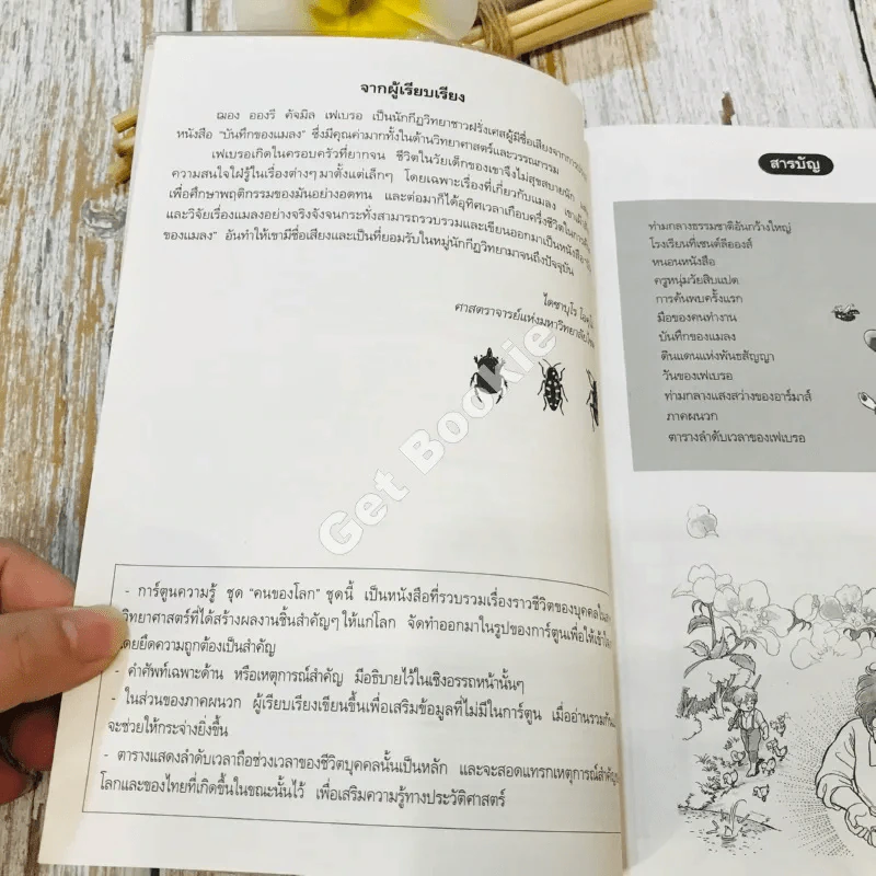 ฌอง อองรี เฟเบรอ ผู้เปิดโลกของแมลง รูปที่ 6