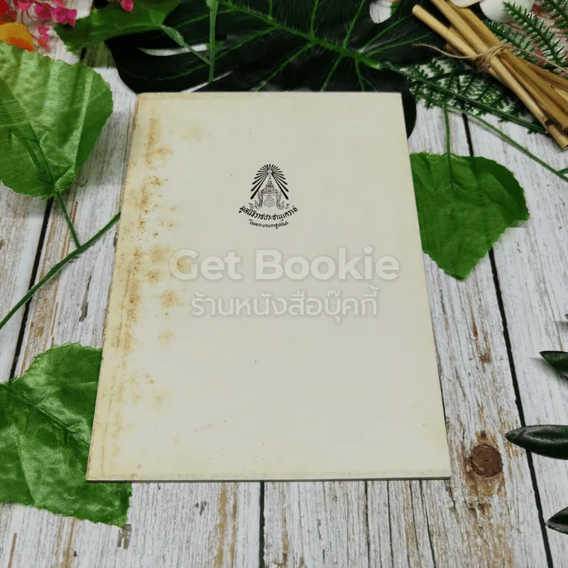 มูลนิธิราชประชานุเคราะห์ในพระบรมราชูปถัมภ์ รูปที่ 1