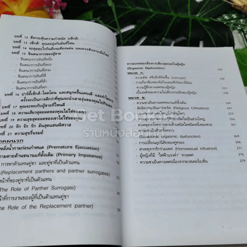 ผู้หญิงไฟฟ้าแรงสูง รูปที่ 9