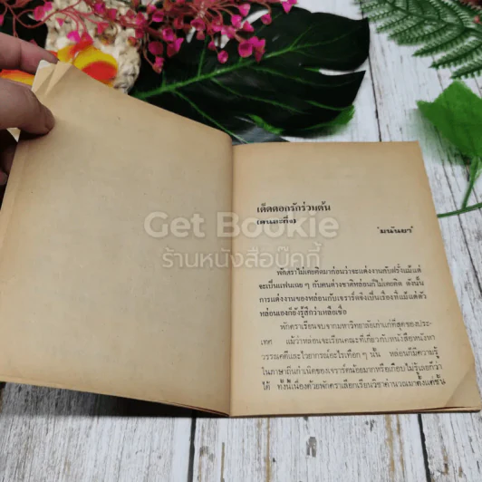 เด็ดดอกรักร่วมต้น (คนละกิ่ง) รูปที่ 6