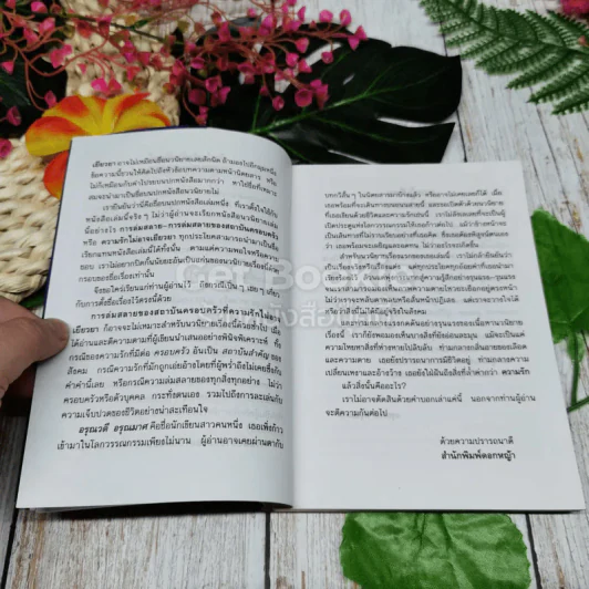 ความรักไม่อาจเยียวยา รูปที่ 5