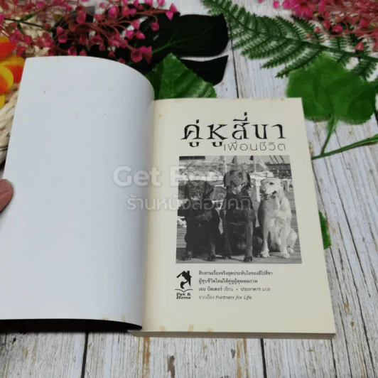 คู่หูสี่ขา เพื่อนชีวิต รูปที่ 4