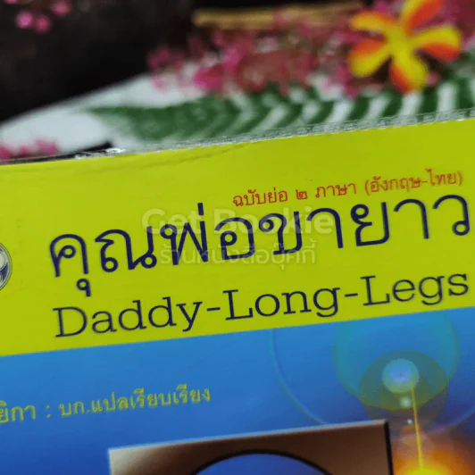 คุณพ่อขาวยาว Daddy-Long-Legs รูปที่ 4