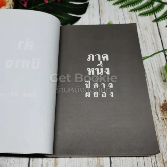 ล่าปิศาจ รูปที่ 9