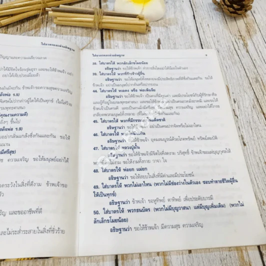 ใส่บาตรและคำอธิษฐาน รูปที่ 10