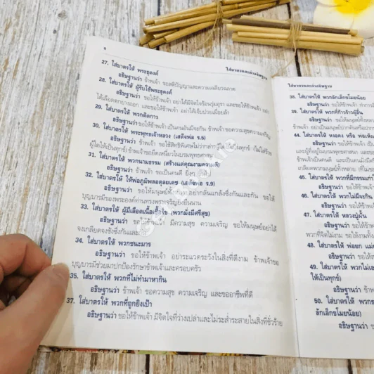 ใส่บาตรและคำอธิษฐาน รูปที่ 9