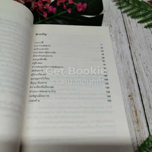 นักสืบ 3 ใบเถา เล่ม 1-6 รูปที่ 38