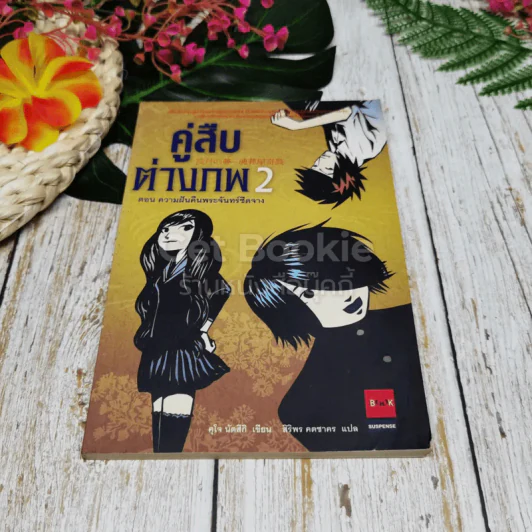 คู่สืบต่างภพ เล่ม 1-3 รูปที่ 12