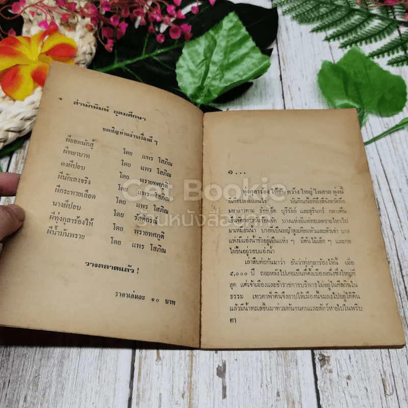 ผีทุ่งกุลาร้องไห้ รูปที่ 6