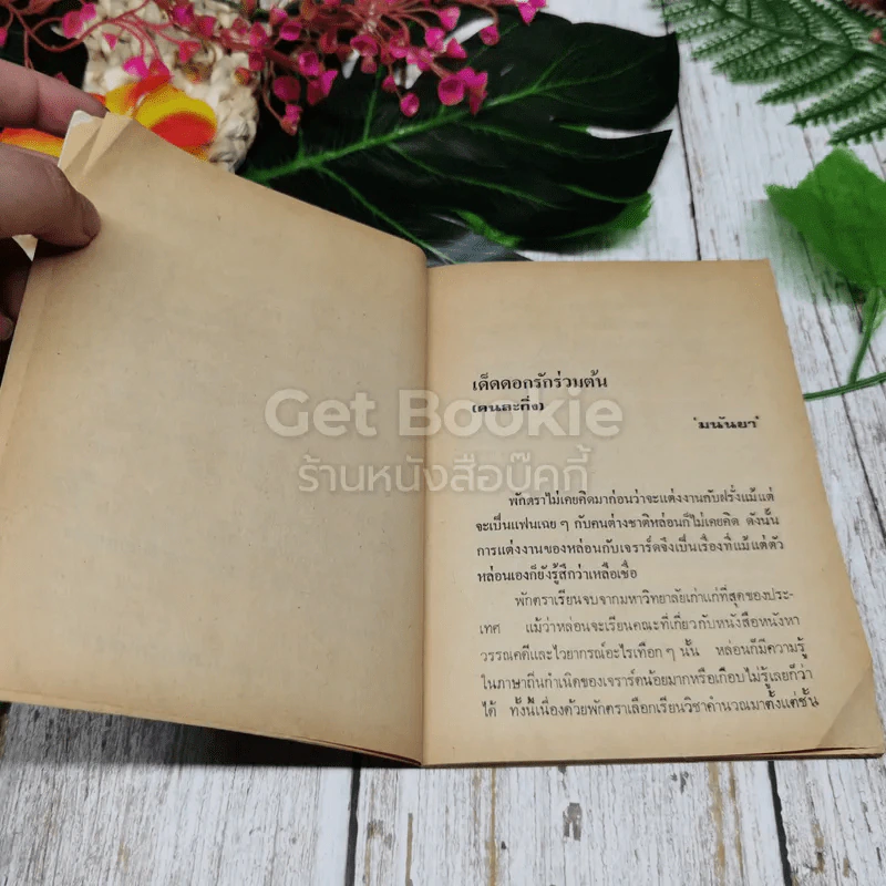 เด็ดดอกรักร่วมต้น (คนละกิ่ง) รูปที่ 6