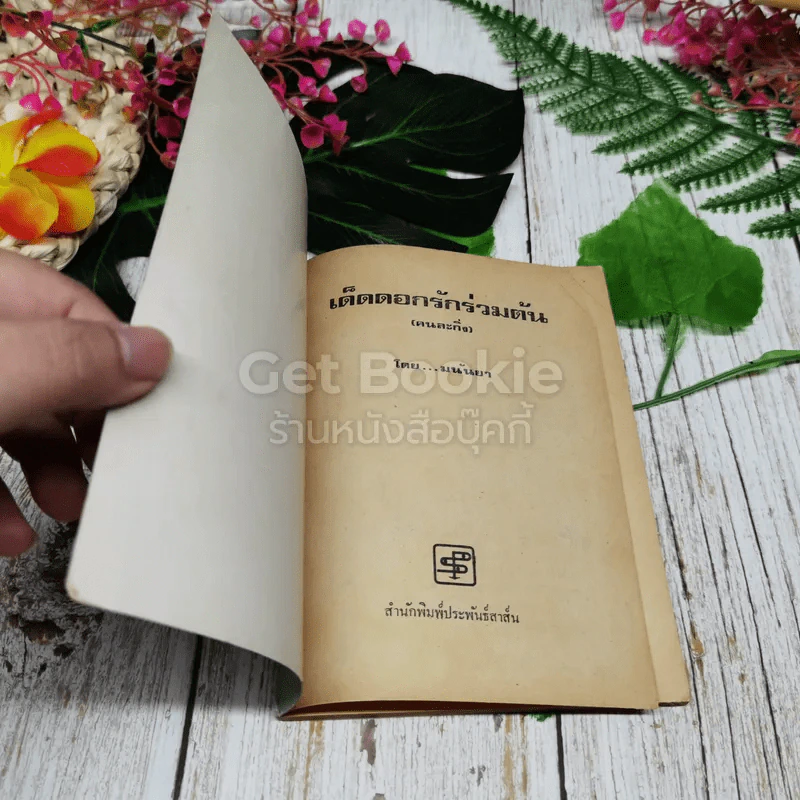 เด็ดดอกรักร่วมต้น (คนละกิ่ง) รูปที่ 4