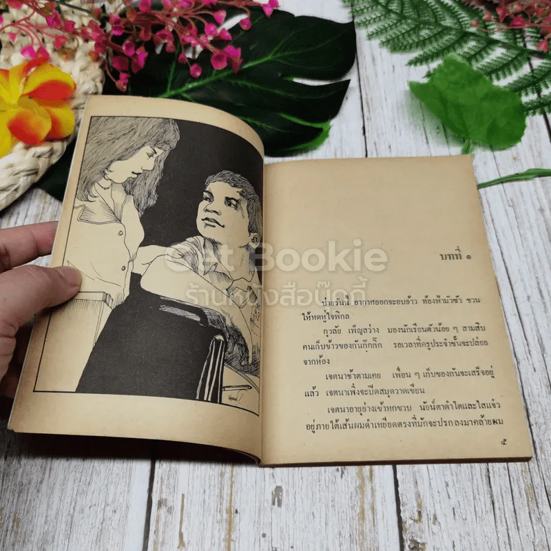 ฝันสาว - วลัย นวาระ รูปที่ 6