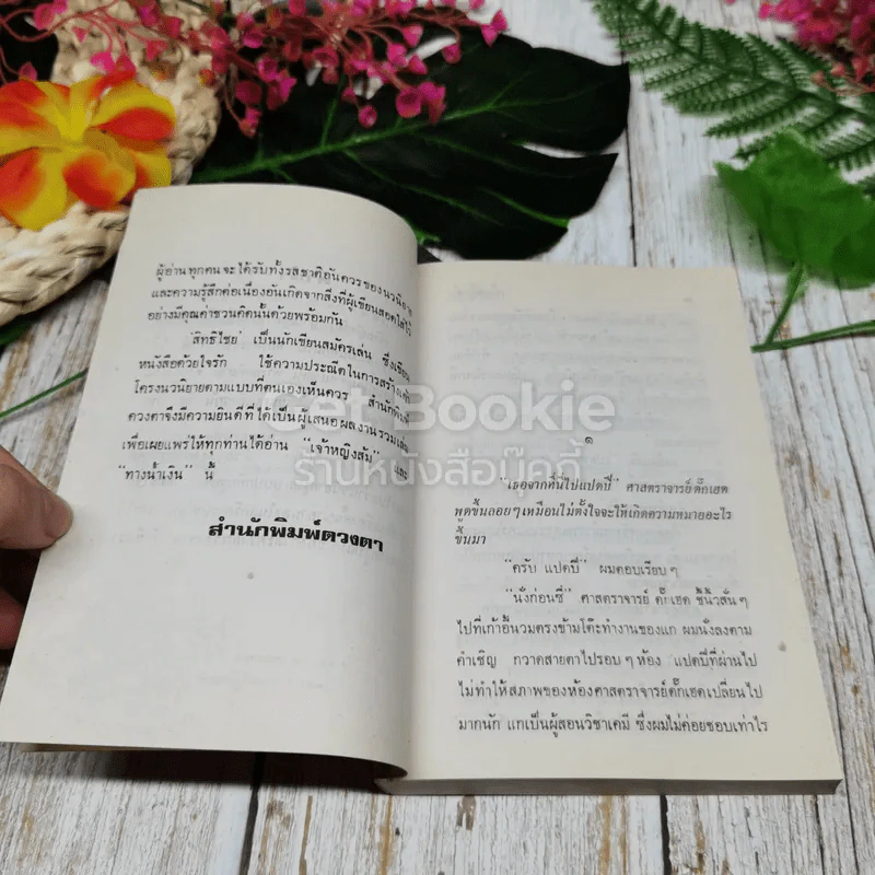 เจ้าหญิงส้ม รูปที่ 6