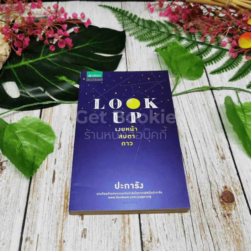 Look Up เงยหน้า สบตาดาว รูปที่ 1