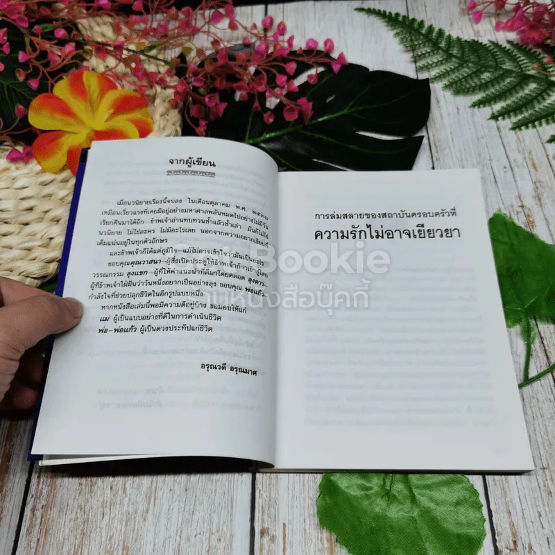 ความรักไม่อาจเยียวยา รูปที่ 6