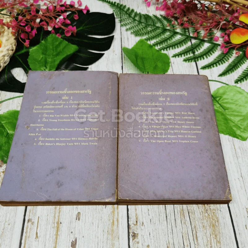 วรรณกรรมชิ้นเอกของสหรัฐฯ เล่ม 1-2 รูปที่ 13