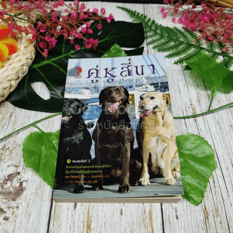 คู่หูสี่ขา เพื่อนชีวิต รูปที่ 1
