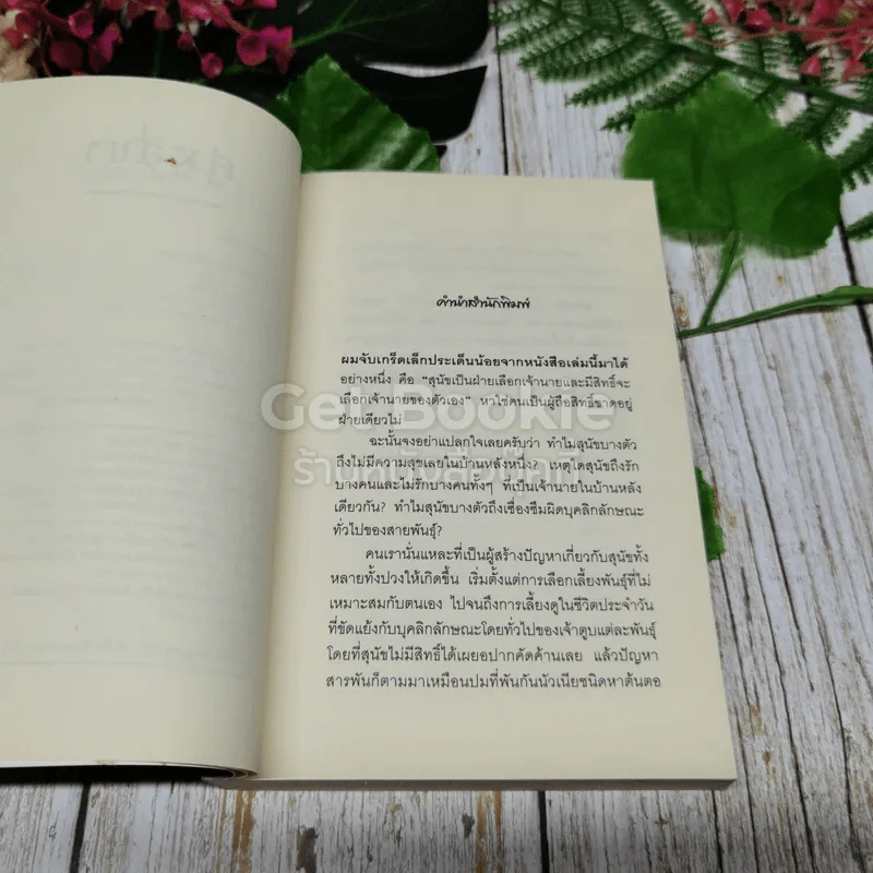 คู่หูสี่ขา เพื่อนชีวิต รูปที่ 6
