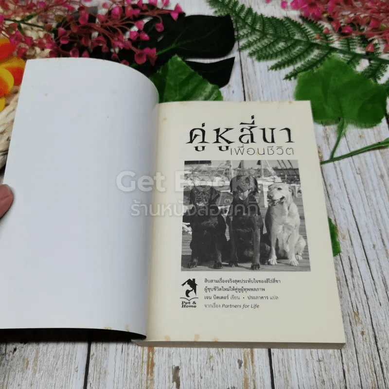 คู่หูสี่ขา เพื่อนชีวิต รูปที่ 4
