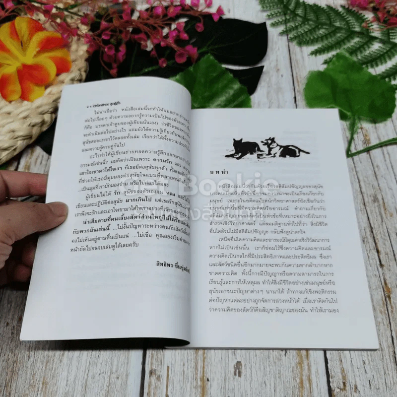 เปิดโลกพิศวง ตูบผู้รู้ใจ The Hidden Life of Dogs รูปที่ 6