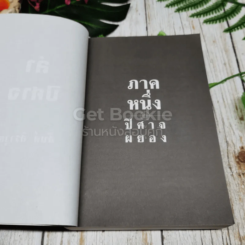 ล่าปิศาจ รูปที่ 9