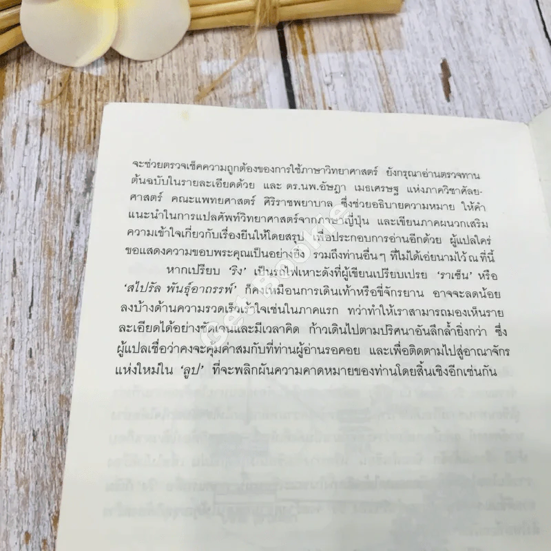 สไปรัลพันธุ์อาถรรพ์ รูปที่ 11