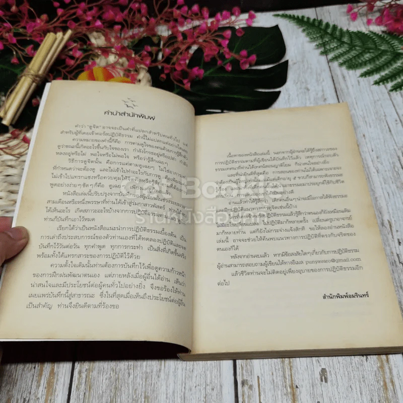 ดูจิตหนึ่งพรรษา+ดูจิตชั่วพริบตา+นิพพานชั่วพริบตา รูปที่ 15