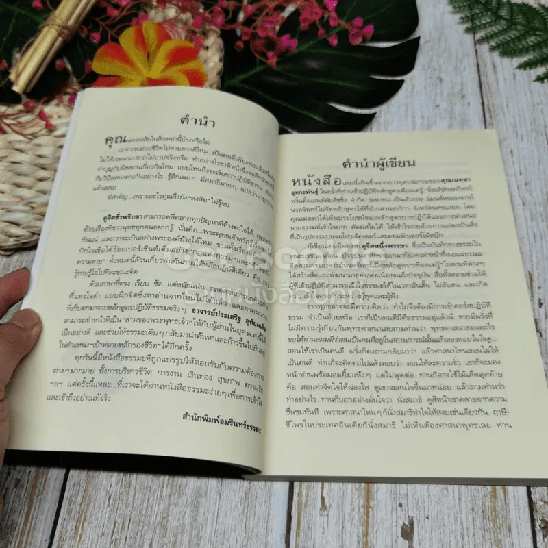 ดูจิตหนึ่งพรรษา+ดูจิตชั่วพริบตา+นิพพานชั่วพริบตา รูปที่ 10