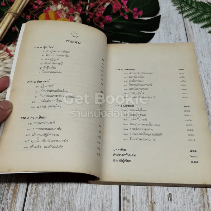 ดูจิตหนึ่งพรรษา+ดูจิตชั่วพริบตา+นิพพานชั่วพริบตา รูปที่ 17