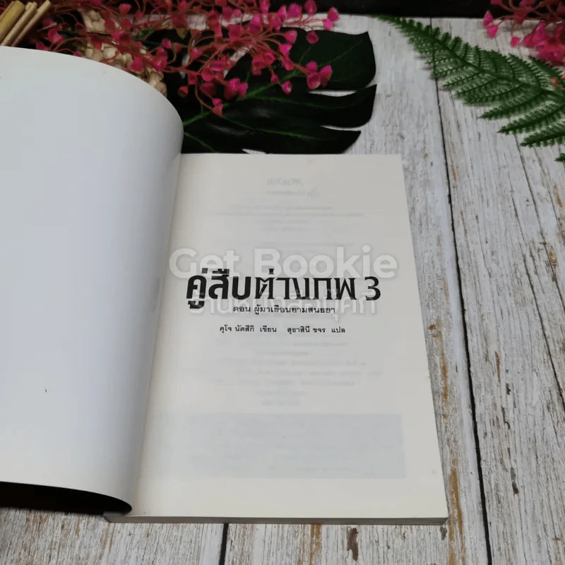 คู่สืบต่างภพ เล่ม 1-3 รูปที่ 19