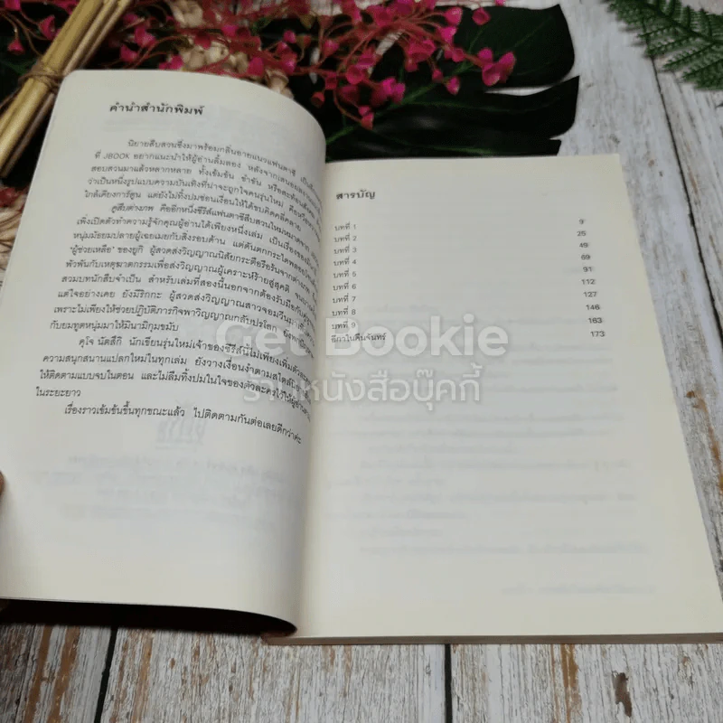 คู่สืบต่างภพ เล่ม 1-3 รูปที่ 16