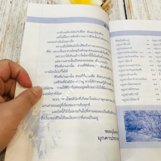 ชีวิตที่เหลืออยู่อยู่อย่างไรให้เป็นสุข รูปที่ 7