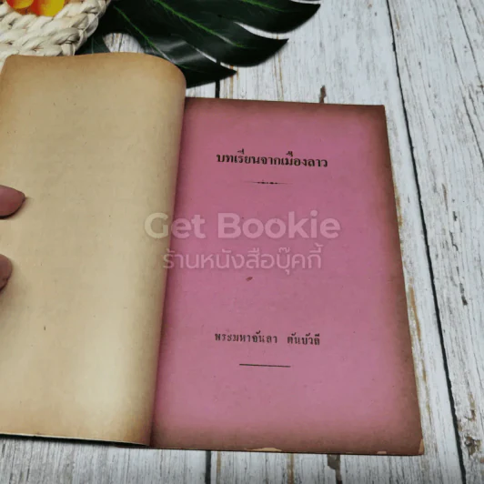 บทเรียนจากเมืองลาว รูปที่ 6