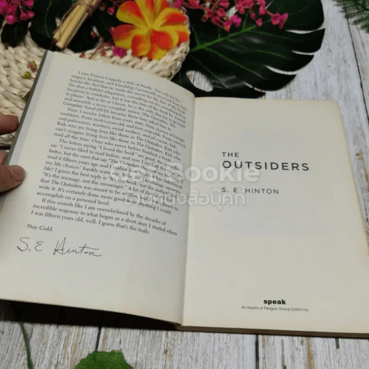 The Outsiders รูปที่ 5