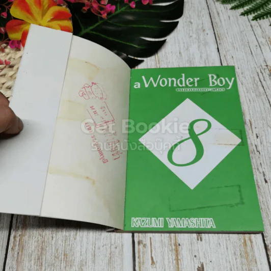 a Wonder Boy หนุ่มน้อยทะลุมิติ เล่ม 1-8 รูปที่ 14