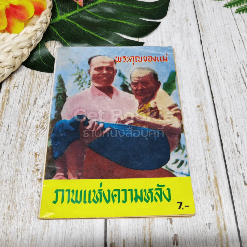 พระคุณของแม่ ภาพแห่งความหลัง รูปที่ 1