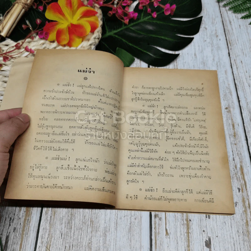 พระคุณของแม่ ภาพแห่งความหลัง รูปที่ 9