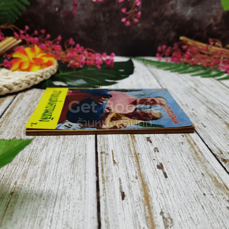 พระคุณของแม่ ภาพแห่งความหลัง รูปที่ 3