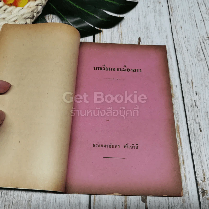 บทเรียนจากเมืองลาว รูปที่ 6