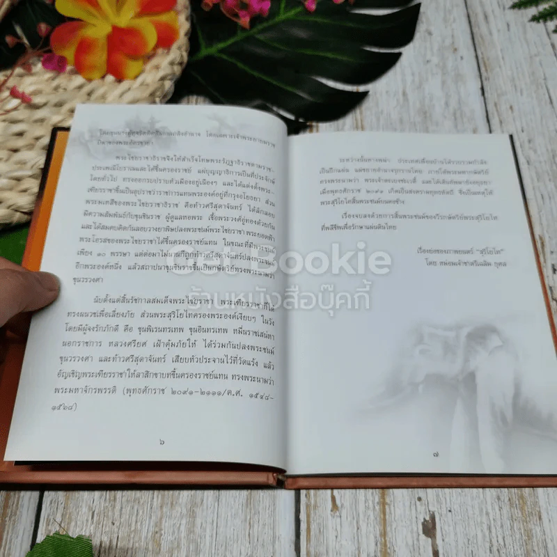 สุริโยทัย รูปที่ 6