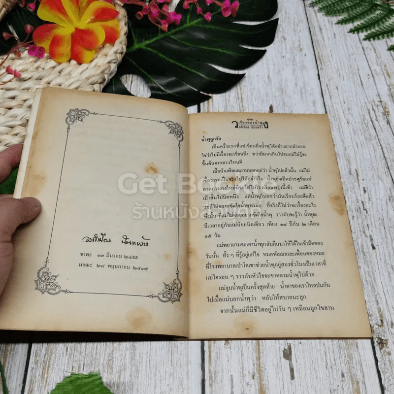 เรื่องของน้ำพุ - วงศ์เมือง นันทขว้าง รูปที่ 9